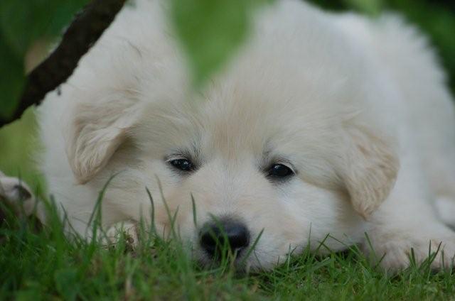 Fotos/indyweek3/week 5/DSC_8267.jpg