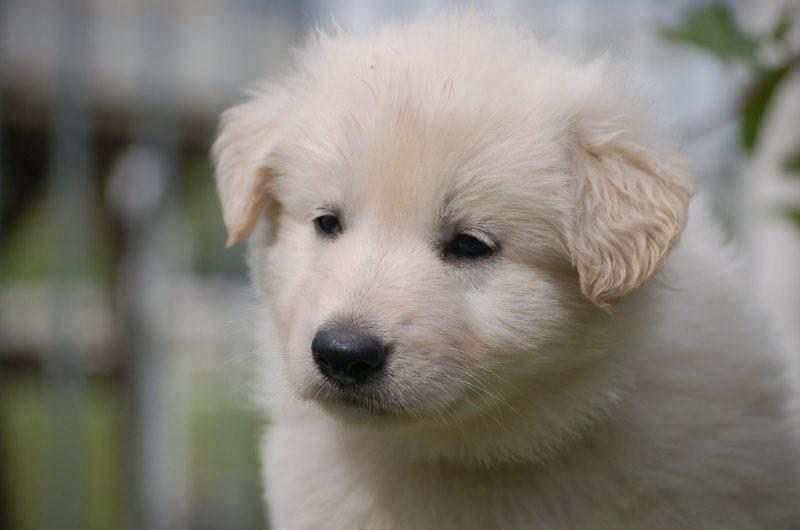 Fotos/indyweek3/week 5/DSC_8273.jpg