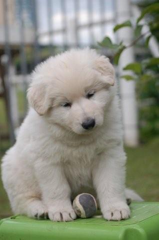 Fotos/indyweek3/week 5/DSC_8279.jpg