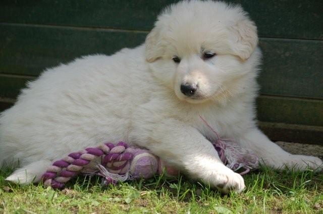 Fotos/indyweek3/week 5/DSC_8285.jpg