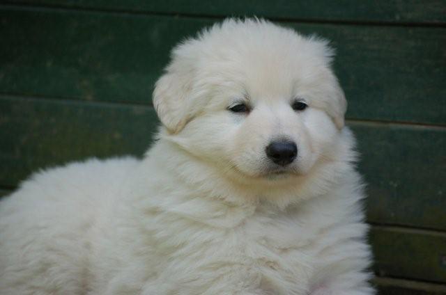 Fotos/indyweek3/week 5/DSC_8289.jpg