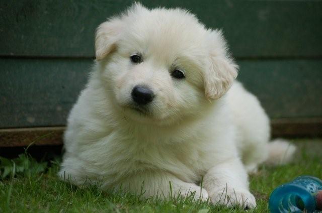 Fotos/indyweek3/week 5/DSC_8294.jpg