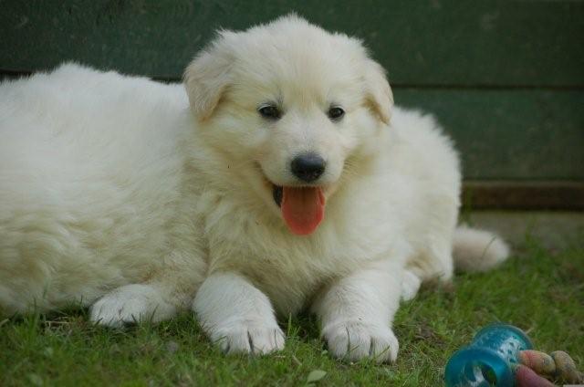 Fotos/indyweek3/week 5/DSC_8311.jpg