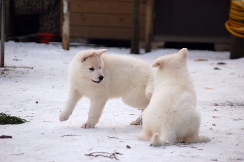 Fotos/Indywk62009/afscheid/Anouk van der Zee (15).JPG