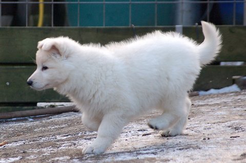 Fotos/Indywk62009/afscheid/Anouk van der Zee (17).JPG