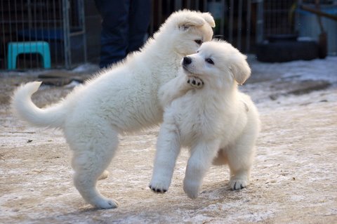 Fotos/Indywk62009/afscheid/Anouk van der Zee (26).JPG