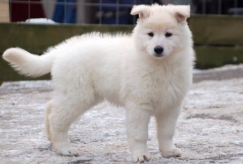 Fotos/Indywk62009/afscheid/Anouk van der Zee (32).JPG