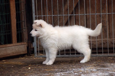 Fotos/Indywk62009/afscheid/Anouk van der Zee (39).JPG