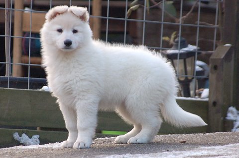 Fotos/Indywk62009/afscheid/Anouk van der Zee (47).JPG