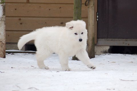 Fotos/Indywk62009/afscheid/Anouk van der Zee (52).JPG