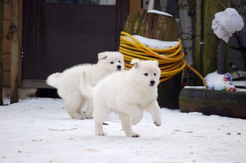 Fotos/Indywk62009/afscheid/Anouk van der Zee (59).JPG