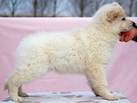 Fotos/Indywk62009/afscheid/Anouk van der Zee (6).JPG