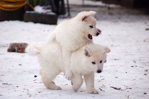 Fotos/Indywk62009/afscheid/Anouk van der Zee (7).JPG