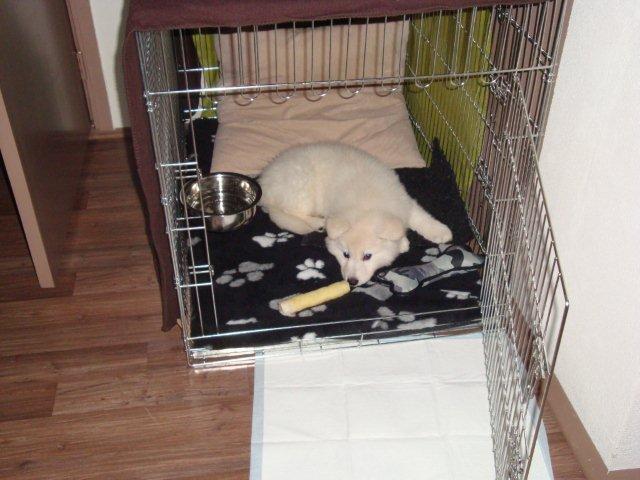 Fotos/bink/1 dag thuis 8 w (1).JPG