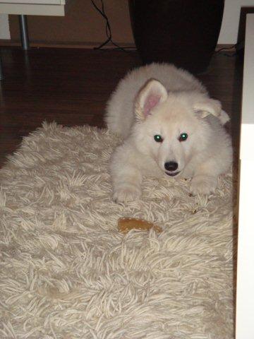 Fotos/bink/22-01-2010 170.JPG