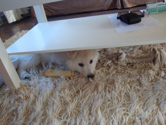 Fotos/bink/3 dag thuis 8 w (11).JPG