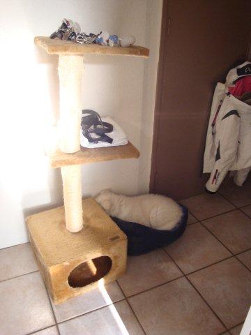 Fotos/bink/3 dag thuis 8 w (8).JPG