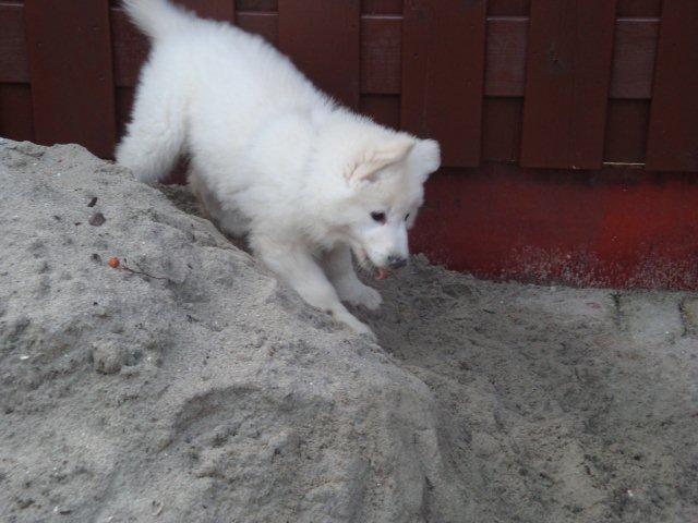 Fotos/bink/training tante kim dag 6 (3).JPG