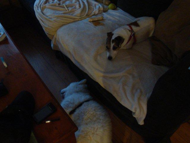 Fotos/bink/training tante kim dag 6 (7).JPG