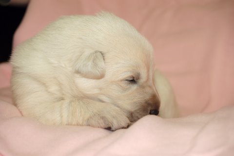 Fotos/nestnov2009I/week2/Anouk van der Zee (4).JPG