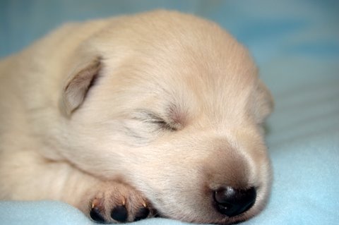 Fotos/nestnov2009I/week2/Anouk van der Zee (6).JPG