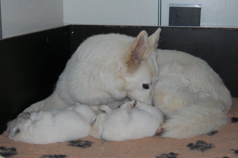 Fotos/nestnov2009I/week2/DSC_0359 - kopie.JPG