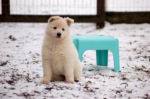 Fotos/Indywk62009/Anouk van der Zee (102).JPG