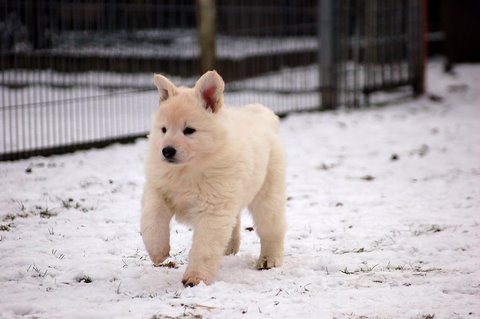 Fotos/Indywk62009/Anouk van der Zee (169).JPG