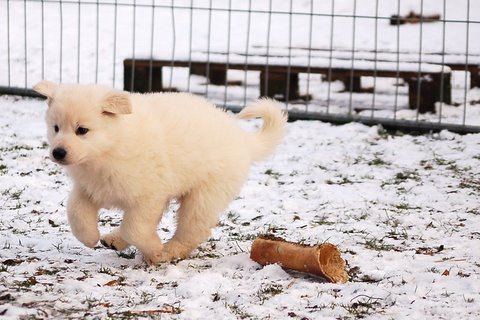 Fotos/Indywk62009/Anouk van der Zee (170).JPG