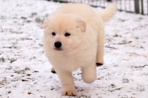 Fotos/Indywk62009/Anouk van der Zee (190).JPG