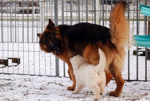 Fotos/Indywk62009/Anouk van der Zee (20).JPG