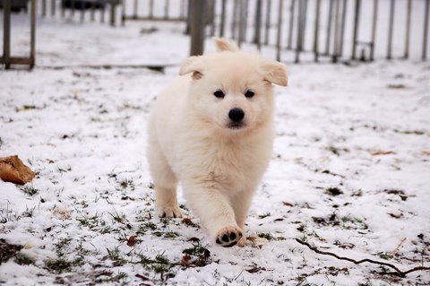 Fotos/Indywk62009/Anouk van der Zee (56).JPG