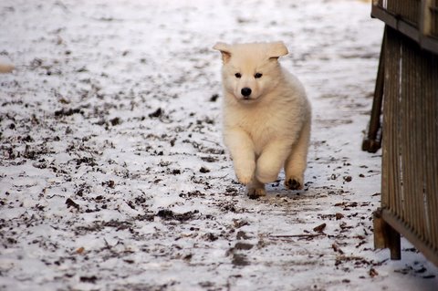 Fotos/Indywk62009/Anouk van der Zee (63) - kopie.JPG