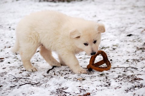 Fotos/Indywk62009/Anouk van der Zee (78).JPG