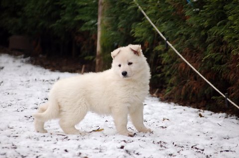 Fotos/Indywk62009/Anouk van der Zee (79).JPG