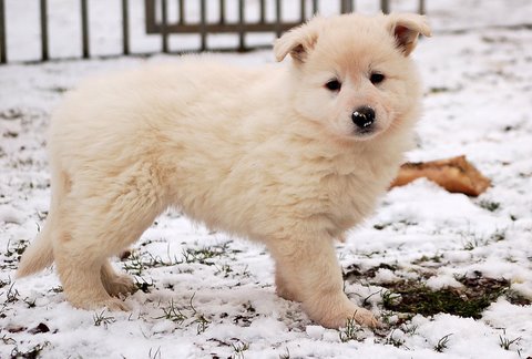 Fotos/Indywk62009/Anouk van der Zee (99).JPG