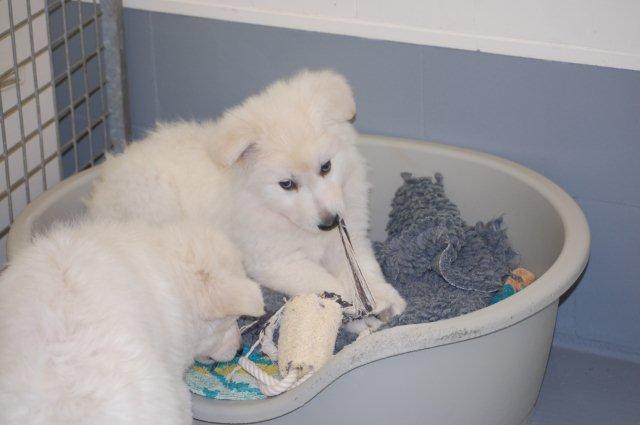 Fotos/Indywk62009/week7/DSC_0004 (2).JPG