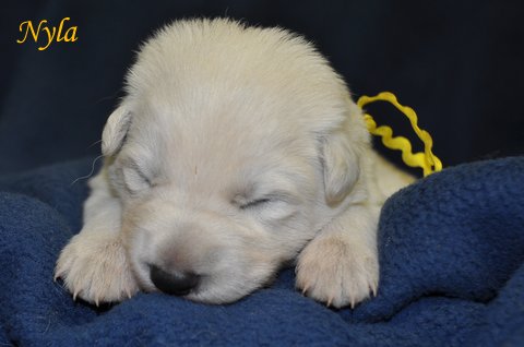Fotos/2012 N-Nest Sterre/Week1/DSC_0249.JPG