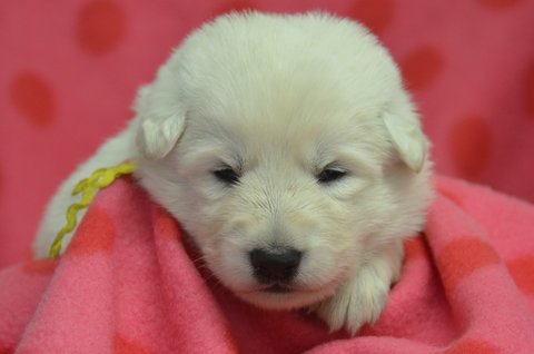Fotos/2012 N-Nest Sterre/Week2/DSC_4623.JPG