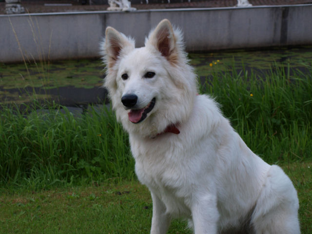 Fotos/2010vervolgJnest/Jade/8 augustus/jade 1.jpg