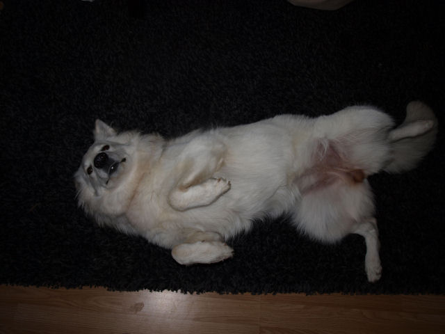 Fotos/2010vervolgJnest/Jade/8 augustus/jade 2.jpg