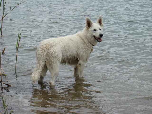 Fotos/2010vervolgJnest/Jae Dunga/DSC09589.JPG