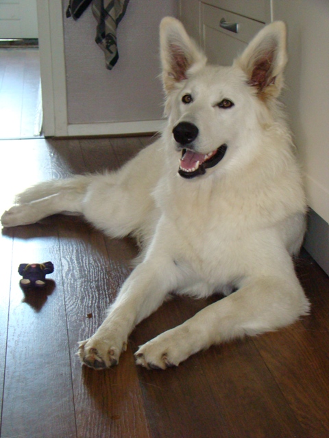 Fotos/2010vervolgJnest/Jae Dunga/DSC09624.jpg