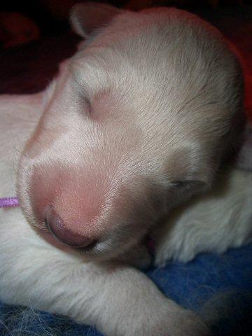 Fotos/NestWillow 2010/nest2010/week1/CIMG1883.jpg