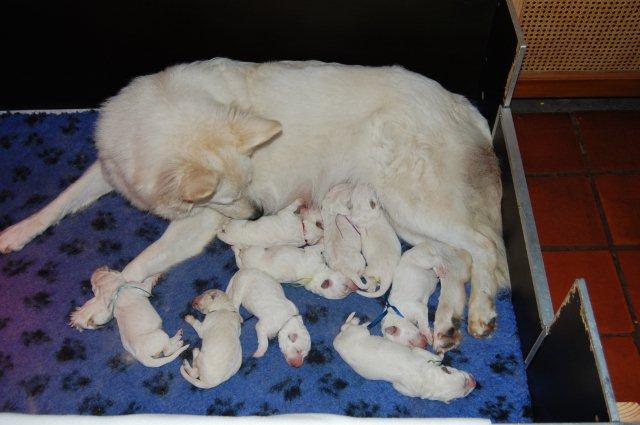 Fotos/NestWillow 2010/nest2010/week1/DSC_0216.jpg