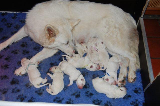 Fotos/NestWillow 2010/nest2010/week1/DSC_0218.jpg