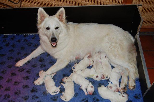 Fotos/NestWillow 2010/nest2010/week1/DSC_0220.jpg