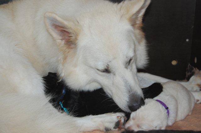 Fotos/NestWillow 2010/nest2010/week1/DSC_0295.jpg