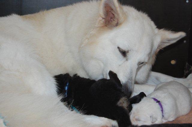 Fotos/NestWillow 2010/nest2010/week1/DSC_0296.jpg