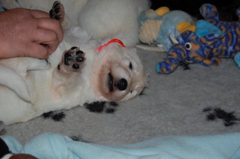 Fotos/NestWillow 2010/nest2010/week2/DSC_0020.JPG